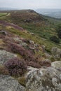Beautiful landscape image of late Summer vibrant heather at Curbar Edge in Peak District National Park in England Royalty Free Stock Photo