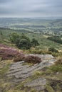 Beautiful landscape image of late Summer vibrant heather at Curbar Edge in Peak District National Park in England Royalty Free Stock Photo