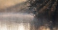 Beautiful landscape image of sunrise mist on urban lake with sun beams streaming through tress lighting up water surface Royalty Free Stock Photo