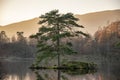 Beautiful landscape image of Tarn Hows in Lake District during beautiful Autumn Fall evening sunset with vibrant colours and still Royalty Free Stock Photo