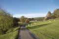 Beautiful landscape image of view along country lanes towards Chrome Hil in Peak District Nationa lPark in England