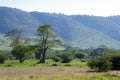 Landscape in the Ngorongoro crater in Tanzania Royalty Free Stock Photo