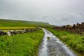 Rural road between the Irish countryside from Doolin to the Cliffs of Moher Royalty Free Stock Photo