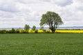 Beautiful landscape on the island Ven in Sweden