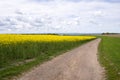 Beautiful landscape on the island Ven in Sweden with yellow flowering rapeseed field and field road