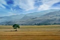 Beautiful landscape in Italian countryside with hills and mountains on background Royalty Free Stock Photo