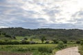 Beautiful landscape in La Alcarria, Guadalajara, Spain. Path between cultivated fields