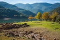 Beautiful landscape with Ladona lake at Peloponnese, Greece Royalty Free Stock Photo