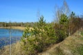 Beautiful landscape with lake and birch and pine trees on the bank Royalty Free Stock Photo