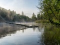 Beautiful landscape with lake, early morning Royalty Free Stock Photo