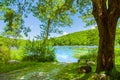 Beautiful landscape lake. Forest lake and empty bench Royalty Free Stock Photo