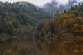 Lake and misty forest in mountains in a rainy day Royalty Free Stock Photo