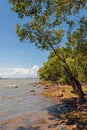 Lake Tana in Ethiopia, Zege Peninsula