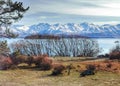 Beautiful landscape of Lake Tekapo and mountains in winter, South Island, New Zealand