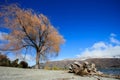 Beautiful landscape of lake wanaka in south island new zealand i Royalty Free Stock Photo