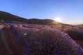 Beautiful landscape of lavender fields at summer sunset near Kuyucak, Isparta of Turkey. Purple flowers with blue sky.