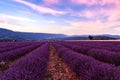 Beautiful landscape of lavender fields at sunset near Sault Royalty Free Stock Photo