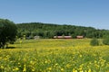 Beautiful landscape  in Lerum,Sweden Royalty Free Stock Photo