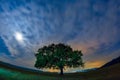 Beautiful landscape with a lonely oak tree, dramatic clouds and a starry night sky with moon light Royalty Free Stock Photo