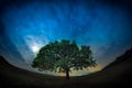 Beautiful landscape with a lonely oak tree, dramatic clouds and a starry night sky with moon light Royalty Free Stock Photo