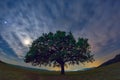 Beautiful landscape with a lonely oak tree, dramatic clouds and a starry night sky with moon light Royalty Free Stock Photo