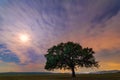 Beautiful landscape with a lonely oak tree, dramatic clouds and a starry night sky with moon light Royalty Free Stock Photo