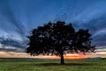 Beautiful landscape with a lonely oak tree in a field, the setting sun shining through branches and storm clouds Royalty Free Stock Photo