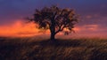 Beautiful landscape with a lonely tree in a field Royalty Free Stock Photo