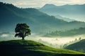 Beautiful landscape with a lonely tree in the morning misty hillside. Generative AI