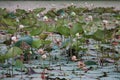 Beautiful landscape of lotus pond, lots of outdoor, lotus pond, image for selectable focus nature background. Royalty Free Stock Photo