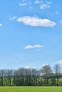 Beautiful landscape of a lush green field outdoors on a peaceful summer afternoon. A row of tall trees and plants Royalty Free Stock Photo