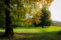 Beautiful landscape with magic autumn trees and fallen leaves with a farm background in Guriezo, Cantabria, Spain Royalty Free Stock Photo