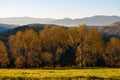 Beautiful landscape with magic autumn trees Royalty Free Stock Photo