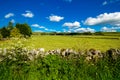 Beautiful landscape in Mahlam village, Yorkshire Dales, England, UK Royalty Free Stock Photo