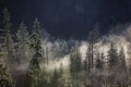 Beautiful landscape in misty forest in Tatra mountains at summer, Poland Royalty Free Stock Photo
