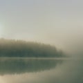 Beautiful landscape with misty lake at morning
