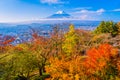 Beautiful landscape of mountain fuji around maple leaf tree in autumn season