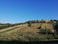 Beautiful landscape of mountain Kopaonik in Serbia, rural scene, majestic pitoresque view. Royalty Free Stock Photo