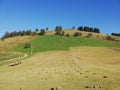 Beautiful landscape of mountain Kopaonik in Serbia, rural scene, majestic pitoresque view. Royalty Free Stock Photo