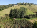 Beautiful landscape of mountain Kopaonik in Serbia, rural scene, majestic pitoresque view, blue clear sky. Royalty Free Stock Photo