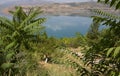 : beautiful landscape of a mountain lake surrounded by greenery, trees, bushes, flowers, grass against the backdrop of mountains. Royalty Free Stock Photo