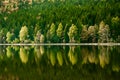 Beautiful landscape mountain lake volcanic natural reflection trees colors Romania