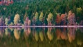 Beautiful landscape mountain lake volcanic natural reflection trees colors Romania