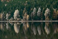 Beautiful landscape mountain lake volcanic natural reflection trees colors Romania