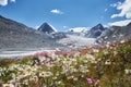 Beautiful landscape of mountain peaks, rivers and lakes. Wild nature of Altai Mountains. Clouds over mountain ranges. Russia,