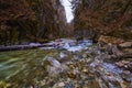 Landscape with a mountain river with small waterfalls in winter day in the canyon Royalty Free Stock Photo