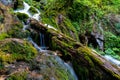 Beautiful landscape with mountain wild stream on green hills with moss