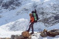 Beautiful landscape with mountains, blue huge glacier and silhouette of a man walking with a large backpack and guitar