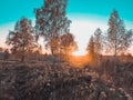 Beautiful landscape in the mountains at sunrise. Foggy nature. View of the foggy hills covered by forest. Sunny summer morning. Royalty Free Stock Photo