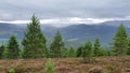 Beautiful landscape of mountains with trees in the foreground in Braemar, Scotland